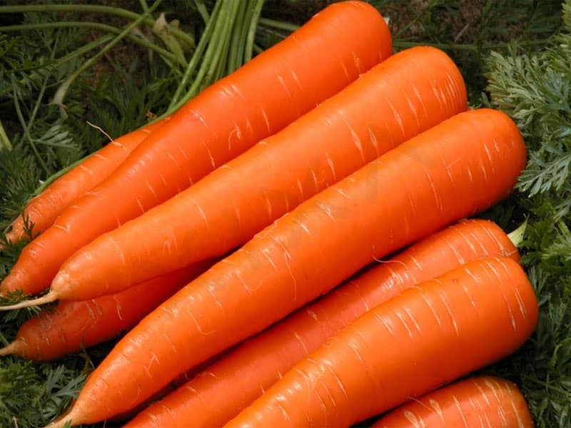 Công dụng của cà rốt